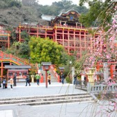 Kyushu, vùng đất của những viên ngọc ẩn mình